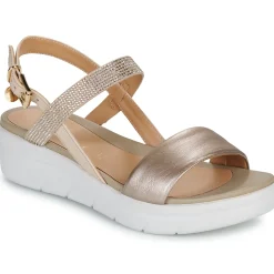 Stonefly - AQUA III 22