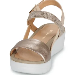 Stonefly - AQUA III 22