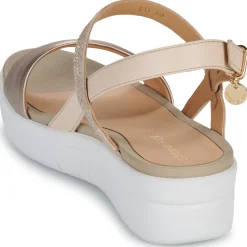 Stonefly - AQUA III 22