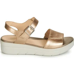 Stonefly - AQUA III 2 LAMINATED