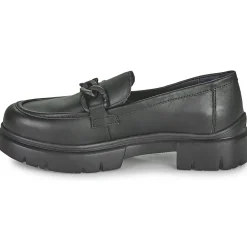 Stonefly - PHOEBE 17