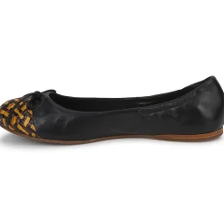 Stéphane Kelian - WALLY