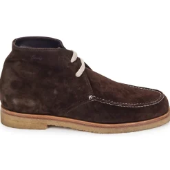 Swamp - POLACCHINO SU