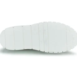 Sweet Lemon - PLANTO