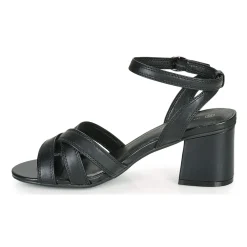 The Divine Factory - LS2115