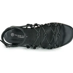 The Divine Factory - LS1793H