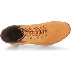 Timberland - ALLINGTON 6IN LACE UP