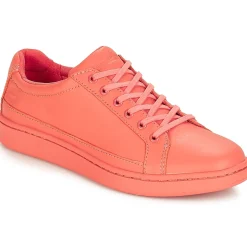 Timberland - San Francisco Flavor Oxford