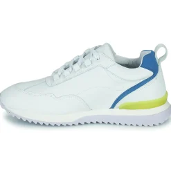 Un Matin d'Eté - ALIENOR