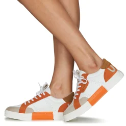 Un Matin d'Eté - BRIE