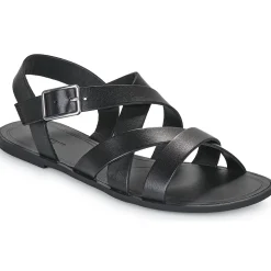 Vagabond Shoemakers - TIA 2.0