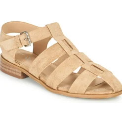 Vanessa Wu - SD2347CM