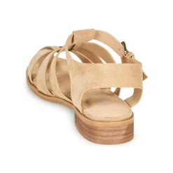 Vanessa Wu - SD2347CM