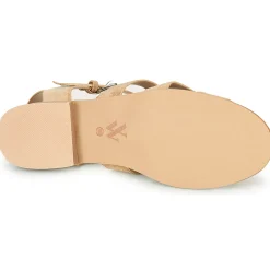 Vanessa Wu - SD2347CM