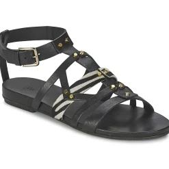 Vic - GINKO ACHANTUS