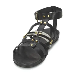 Vic - GINKO ACHANTUS