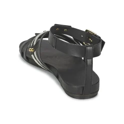 Vic - GINKO ACHANTUS