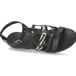 Vic - GINKO ACHANTUS