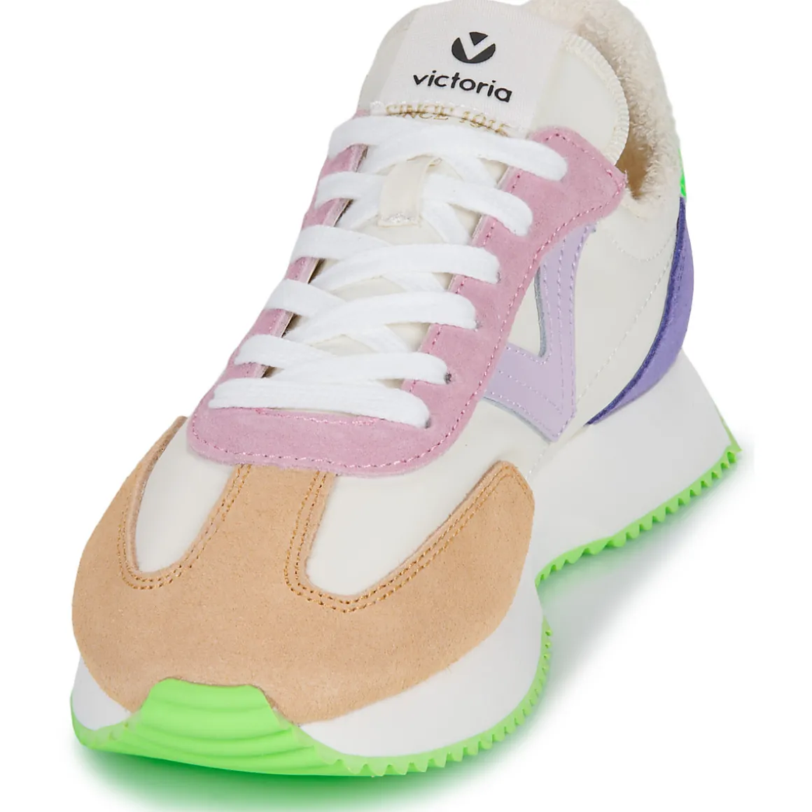 Victoria - COSMOS SERRAJE MULTICOLOR