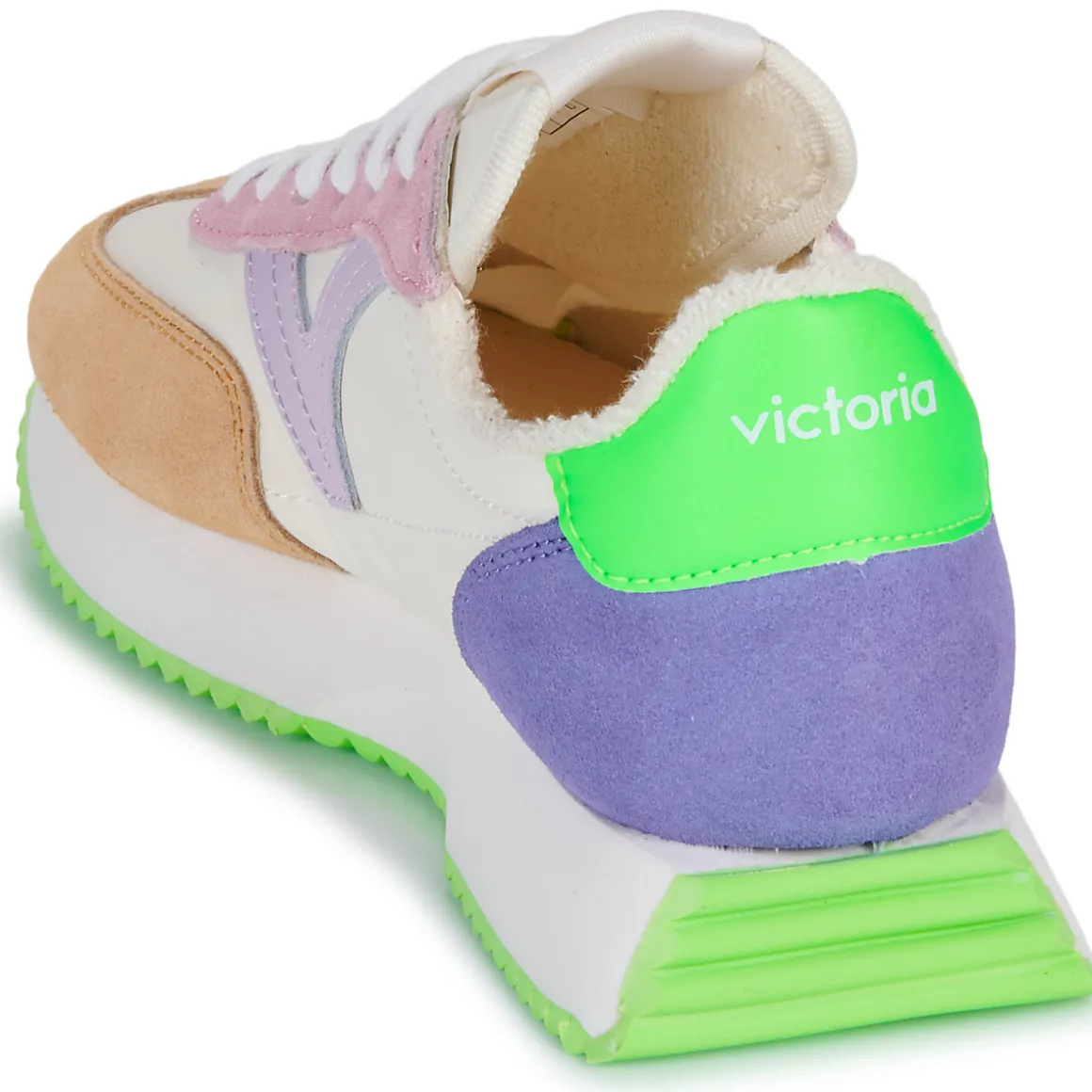 Victoria - COSMOS SERRAJE MULTICOLOR