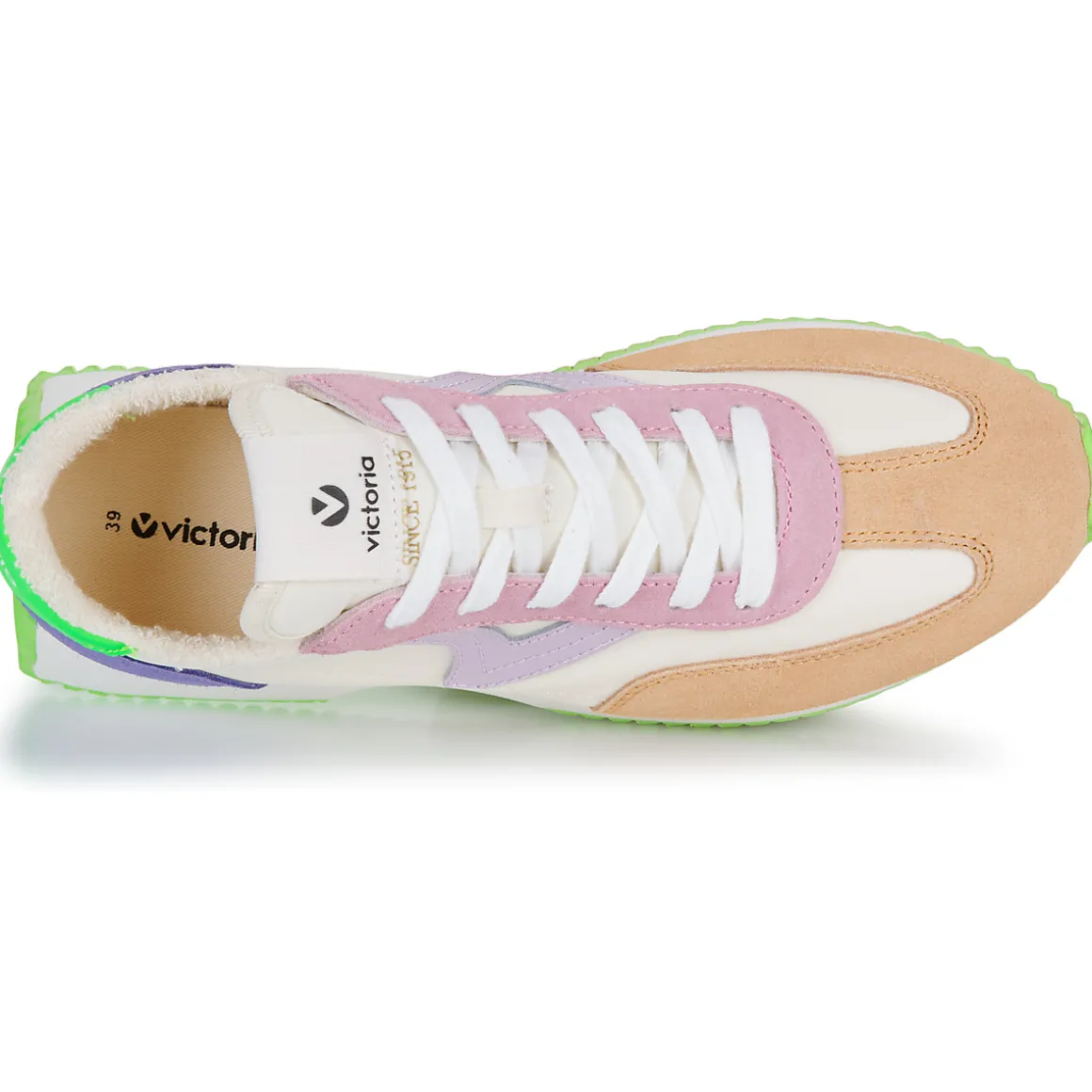 Victoria - COSMOS SERRAJE MULTICOLOR