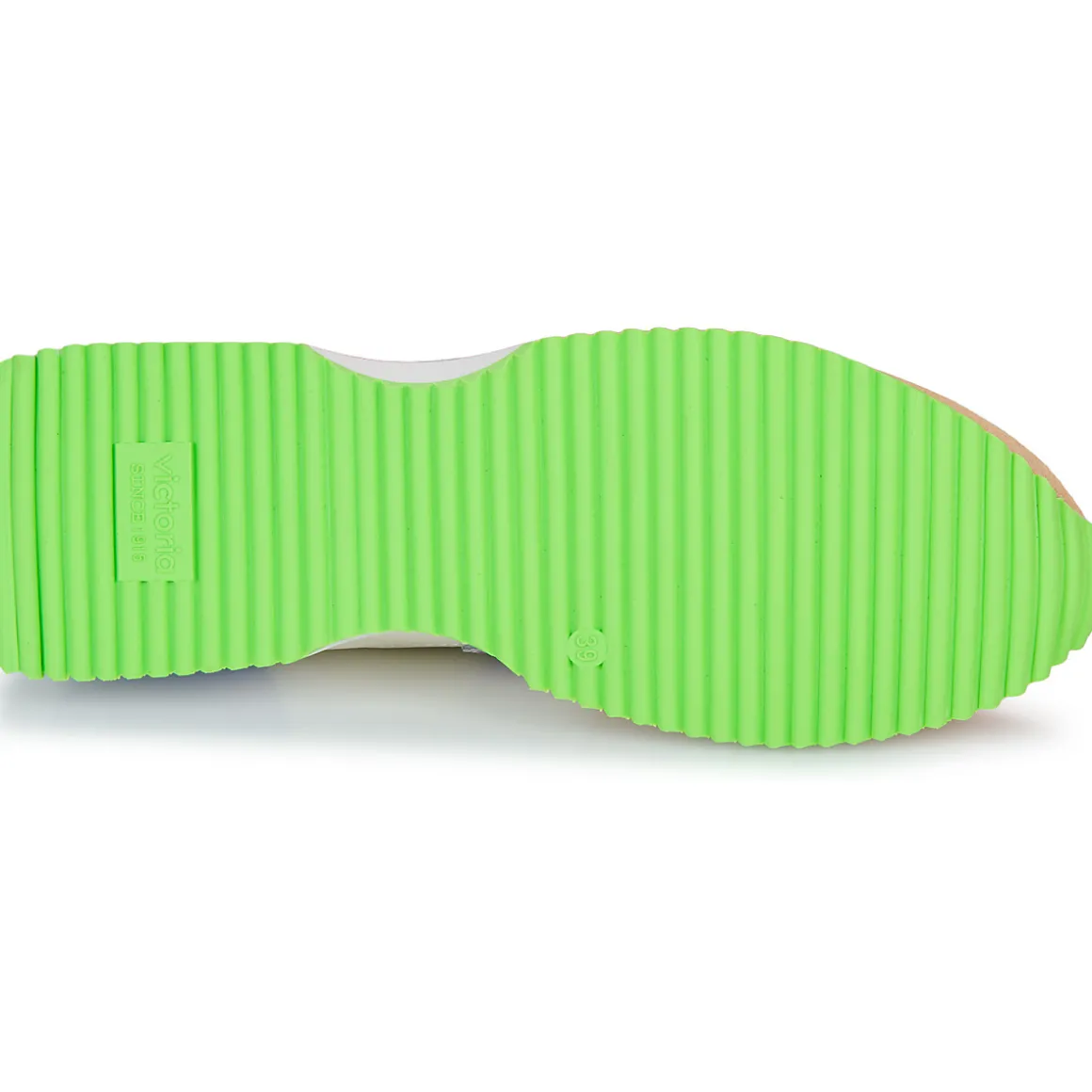 Victoria - COSMOS SERRAJE MULTICOLOR