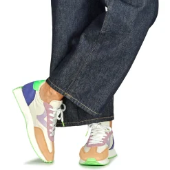 Victoria - COSMOS SERRAJE MULTICOLOR