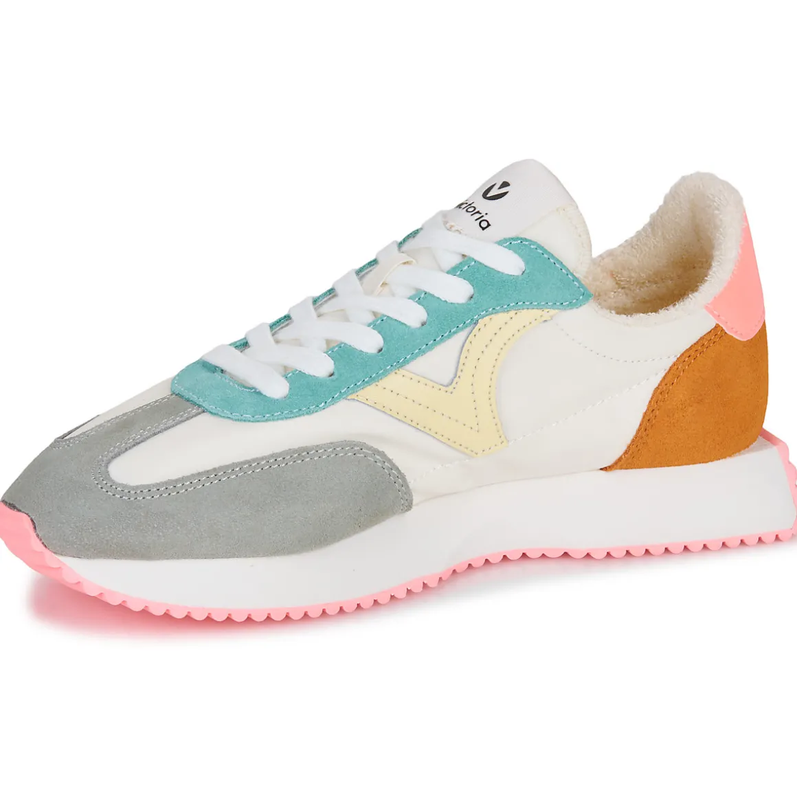 Victoria - COSMOS SERRAJE MULTICOLOR