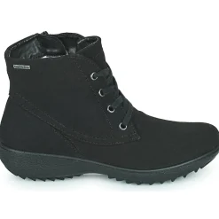 Westland - ORLEANS 126