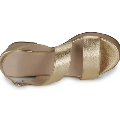 Wonders - D-8803-GLOW