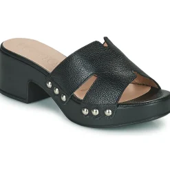 Wonders - D-8821-WILD