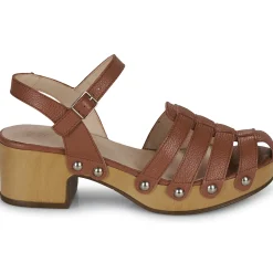 Wonders - D-9501-WILD