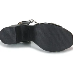 Wonders - L-1016-WILD